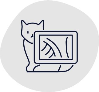 Cat accident and illness insurance A cat is getting an x-ray at the vet, indicating a service covered by cat insurance.