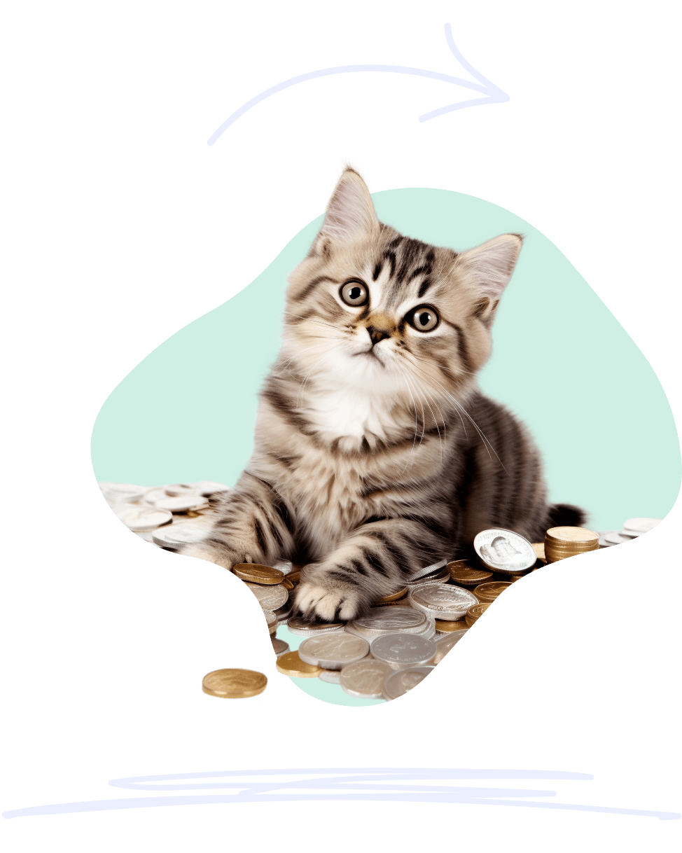 A tabby kitten sits on a pile of silver and copper coins, looking puzzled.