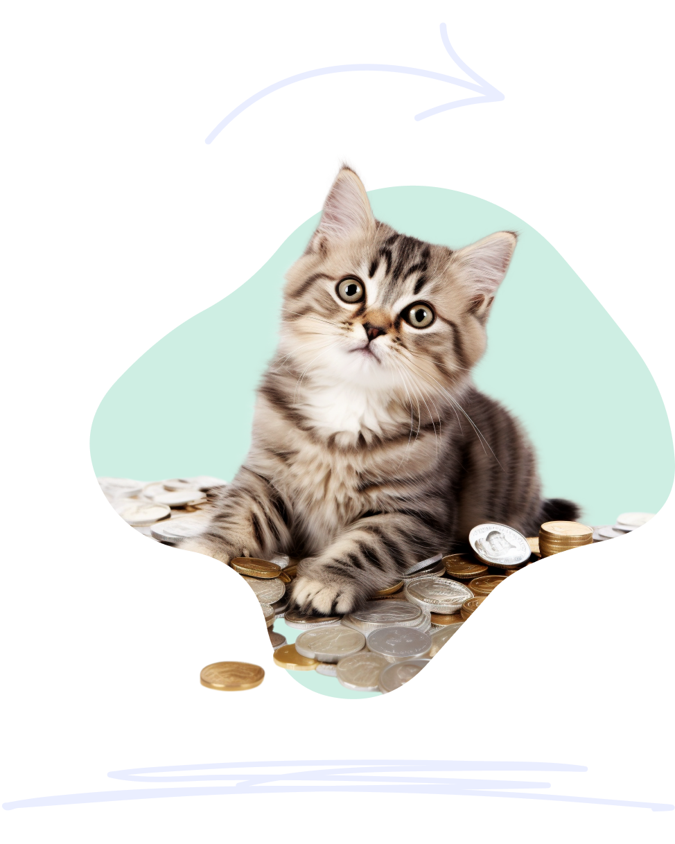 How does cat insurance work A tabby kitten sits on a pile of silver and copper coins, looking puzzled.